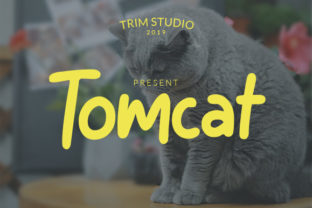 Tomcat: A Playful Typeface for Bold Branding
