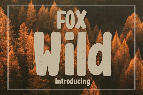 Unleashing Creative Energy: The Fox Wild Typeface Experience
